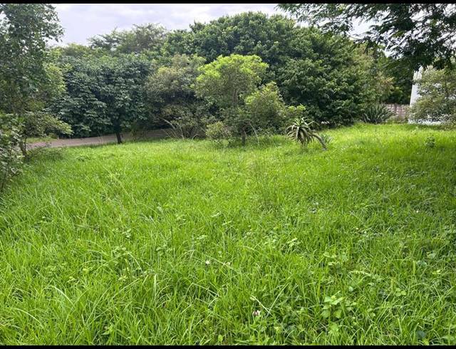 LAND FOR SALE IN ZINI RIVER ESTATE